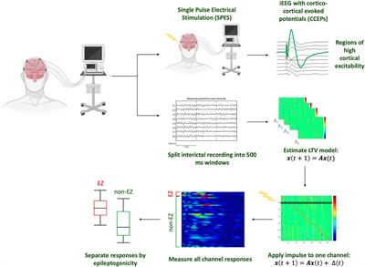 Virtual stimulation of the interictal EEG network localizes the EZ as a measure of cortical excitability